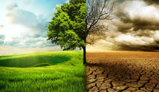 बढ्दो तापक्रम र महँगीले अस्ट्रेलियाको आवास सङ्कट गहिरिने : अध्ययन