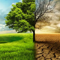अमेरिका र क्यानडाका विश्वविद्यालयको अध्ययन सामग्रीमा छानियो ‘को-हजबेन्ड’