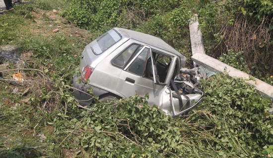 कावासोती जङ्गलमा कार दुर्घटना, चालकको मृत्यु