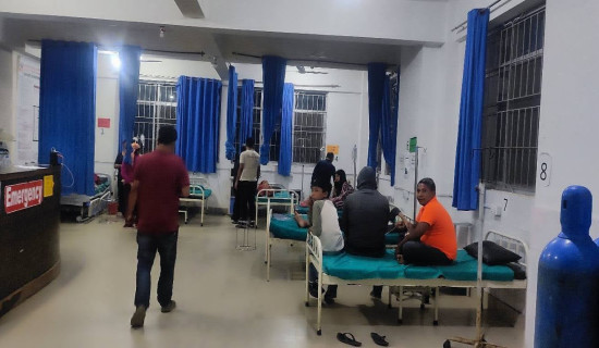 जंगली भ्याकुर खाँदा एकको मृत्यु, एक गम्भीर र आठ बिरामी