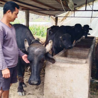 गाउँपालिकामा १३ करोडको योजना सम्झौता