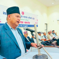 जनशक्ति अभावले काममा ढिलाइ