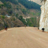 सञ्चार क्षेत्रको विकासमा गम्भीर हुनुपर्छ : सभामुख मण्डल