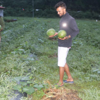 विदेशबाट फर्केर सामूहिक माछापालन