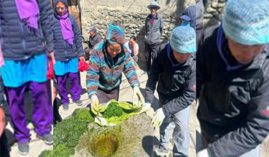विदेशबाट फर्केर सामूहिक माछापालन