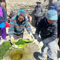 यसरी फेरियो पुम्दीकोटको परिचय