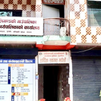 सत्र वर्षदेखि वन कार्यालयमै थन्कियो रक्तचन्दन