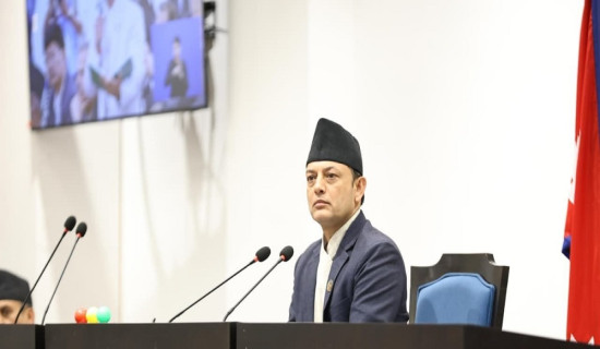 प्रतिनिधिसभामा ‘प्रि–बजेट’ छलफल (प्रत्यक्ष प्रसारण)