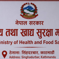 काठेपुलको सहारामा नदी तर्दै यात्रु