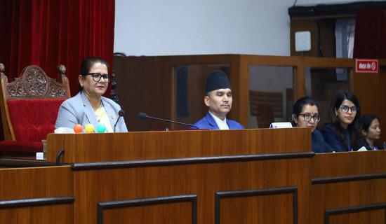 राष्ट्रिय सभामा विनियोजन विधेयकका सिद्धान्त र प्राथमिकतामाथि