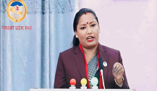 कांग्रेस संसदीय दलको सचेतकमा बस्याल