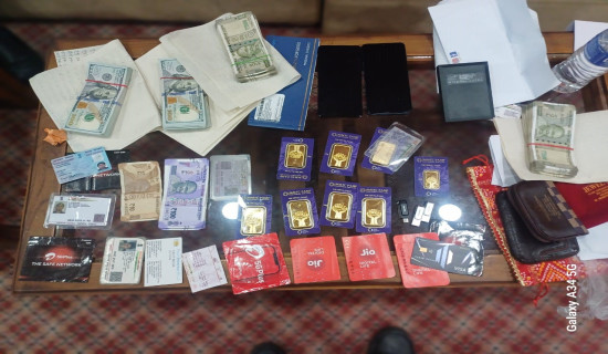 पाटन उच्च अदालतद्वारा अन्तरिम आदेश जारी