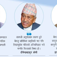 दुम्सी सिकार गर्ने चार जना विरुद्ध वन मुद्दा दायर