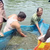 दुम्सी सिकार गर्ने चार जना विरुद्ध वन मुद्दा दायर
