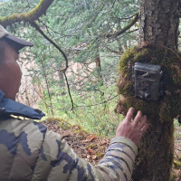 सीमामा कडाइले माछा व्यवसायी उत्साहित