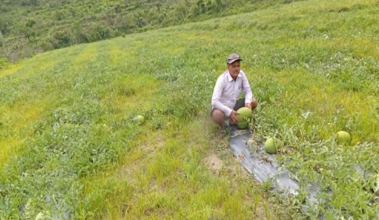 नेपाल विश्वकप लिग–२ को पाँचौँ स्थानमा