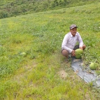 प्रधानाध्यापक, शिक्षक र कर्मचारीले आफ्ना बालबालिकालाई सामुदायिक विद्यालयमा पढाउनुपर्ने
