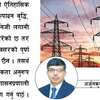 देशभरका खोरमा १९ समस्याग्रस्त बाघ, ‘टाइगर जु’ बनाउन विज्ञको सुझाव
