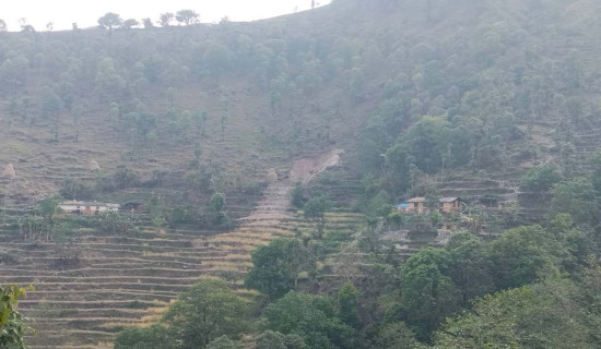 आचार्यको तरबुजाखेती अरुका लागि प्रेरणा