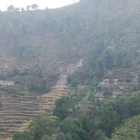 नुन पनि गुणस्तहीन ! आयोडिनविहीन नुन बिक्री रोक्न माग