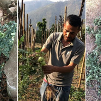 प्रतिनिधिसभा र राष्ट्रियसभाको बैठक बस्दै