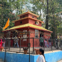 ‘राज्य संरचनामा विविधताको तस्बिर आएन’