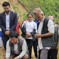 घाँसका रूपमा मकै बिक्री हुन थालेपछि किसान खुसी