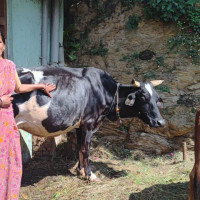 प्रतिनिधिसभा बैठकः जातीय विभेद अन्त्य गर्न सरकारको ध्यानाकर्षण