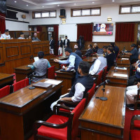 प्रतिनिधि सभाको बैठकमा श्रम संस्कृति पार्टीको विरोध