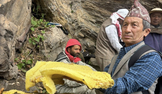 सर्लाहीमा ट्याक्टर दुर्घटना हुँदा दुई जनाको मृत्यु