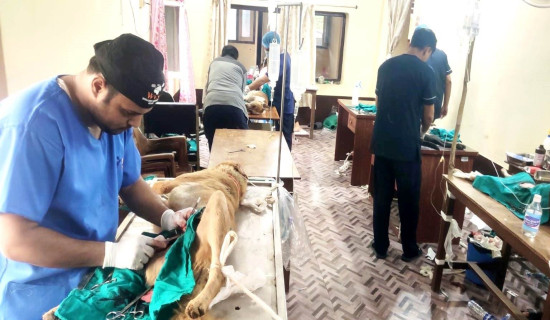 सेनाले कुम्मायकमा बृहत् स्वास्थ्य शिविर चलाउने