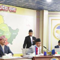 सामुदायिक वनमा आगलागी, बावुछोरी घाइते