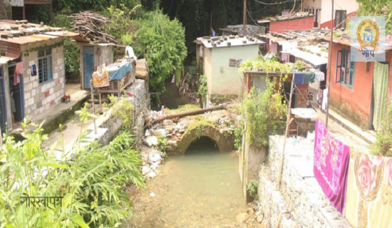 जनाधार जोगाउन पार्टी गम्भीर हुनुपर्छ : कांग्रेस प्रवक्ता महत