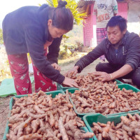 औषधिसहितको चिकित्सक टोली जाजरकोटमा
