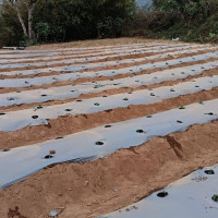 ब्रिक्स राष्ट्रहरूद्वारा ट्रम्पको करमाथि ‘गम्भीर चिन्ता’ व्यक्त