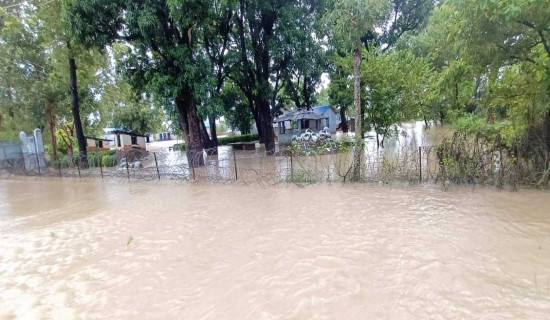 नारायणीको बाढी सुस्तातर्फको बाँध भत्काएर वस्ती पस्यो