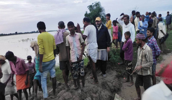 सिक्टा सिचाइँले बनाएको बाँध फुट्यो, राप्ती सोनवर्षा गाउँमा पस्यो