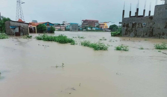 पूर्वी नवलपरासीमा एकसय ४४ घर डुबानमा