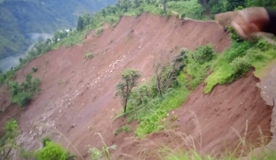 पाल्पामा पहिरोले गाउँ नै विस्थापित