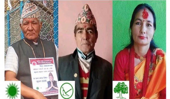 दाजु, भाइ र बहिनीबीच चुनावी प्रतिस्पर्धा