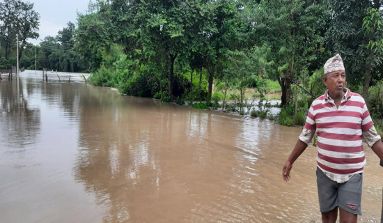 कर्णालीमा बाढी १२.३५ मिटर, दुई घर भत्किए, विस्थापन बढाउँदै