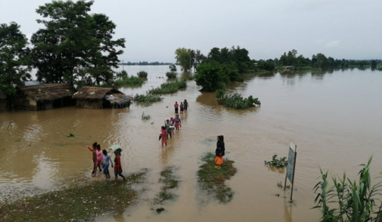 टीकापुरमा बाढीबाट सात सय परिवार विस्थापित