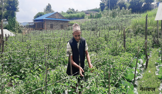 वार्षिक २० लाख रुपियाँभन्दा बढी बचत