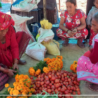 व्यावसायिक खेती नहुँदा बजारमा फूलको अभाव