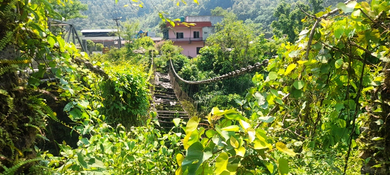 blog