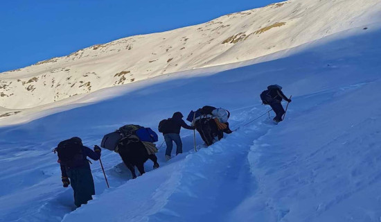 प्रचारका लागि उम्मेदवार लिमी जान पाएनन्