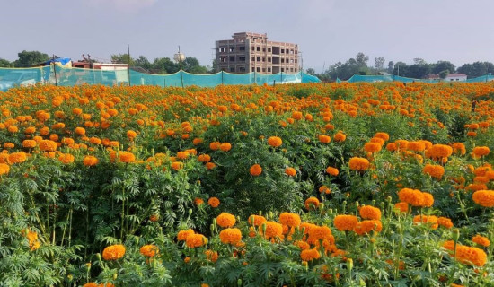 फूल बेचेर विद्यार्थीले कमाए चार लाख