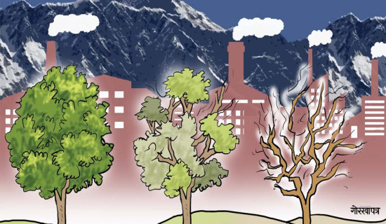 सात प्रतिशतको क्षति प्रक्षेपण