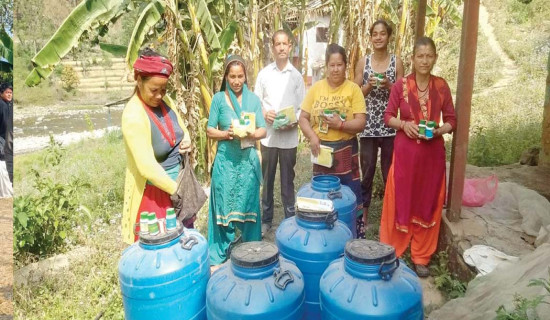 सरकारी अनुदानले कृषकलाई लाभ