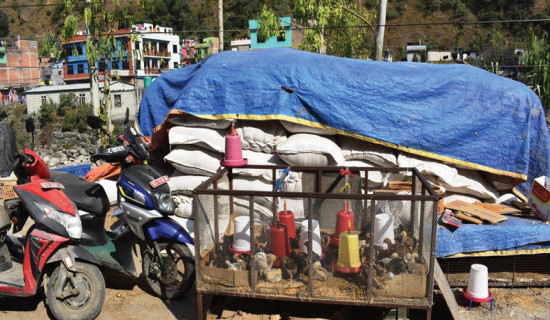 सडक क्षेत्रमै गोदाम र कुखुरापालन